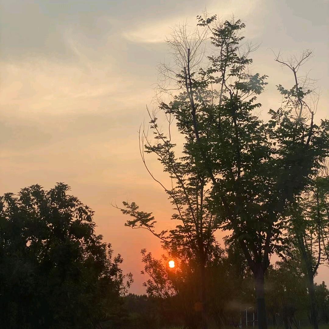 安阳申工装饰团队.