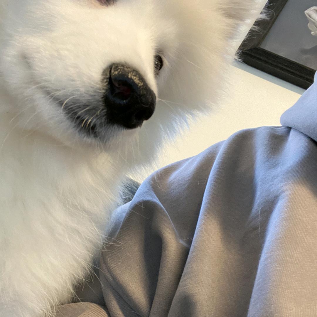 睡睡个好觉