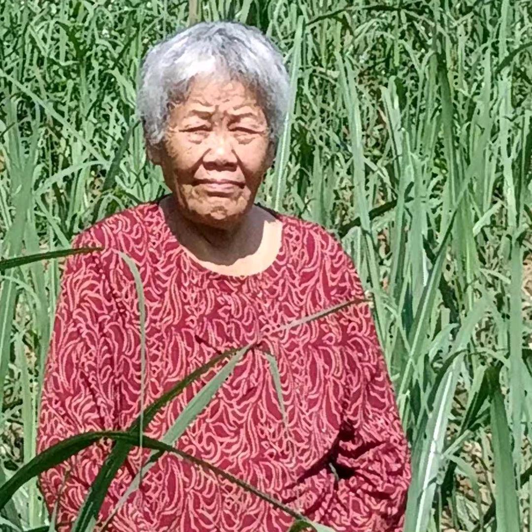大娘