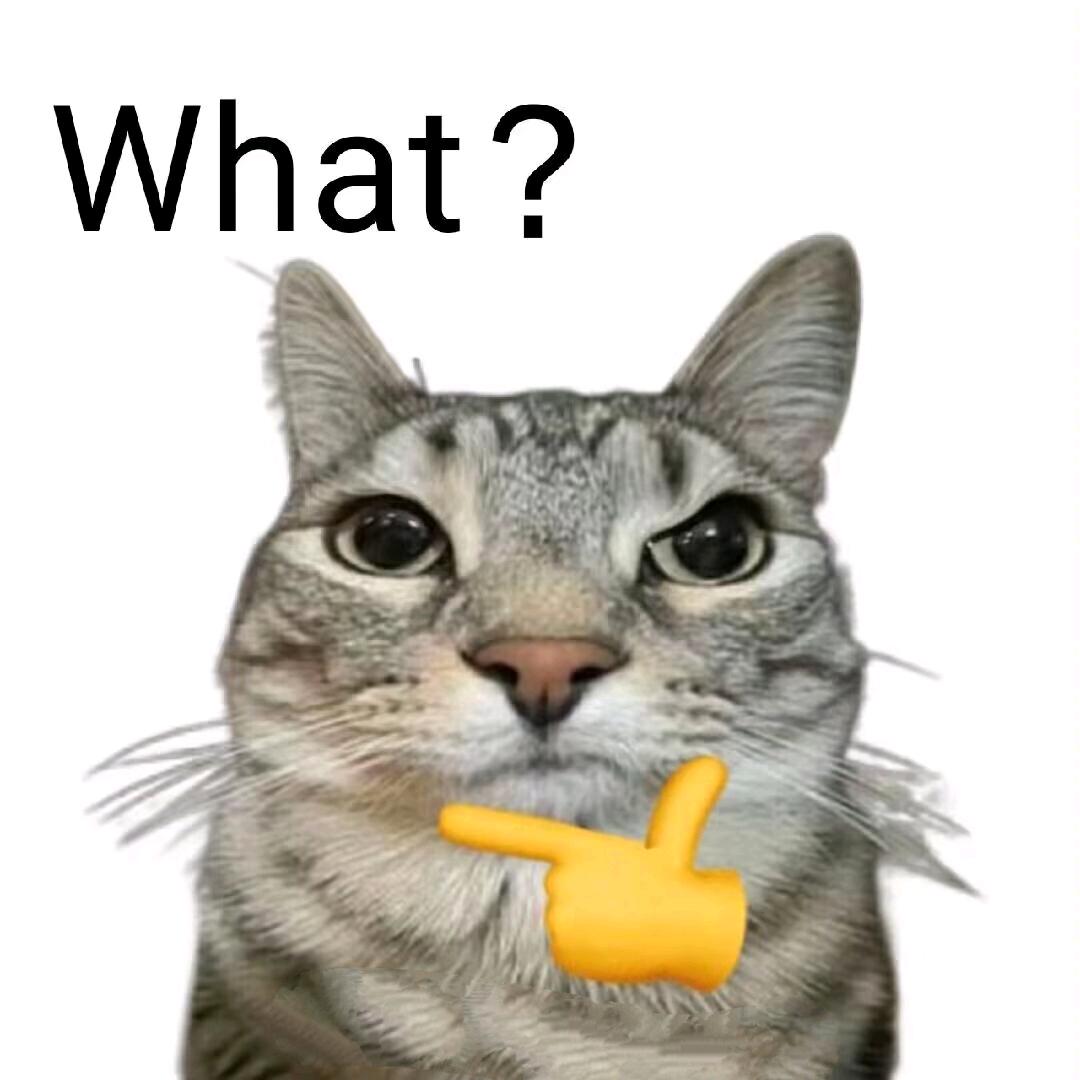 不想说