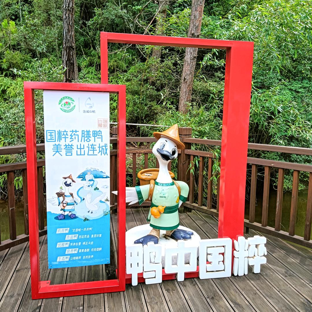 人间自有真情在
