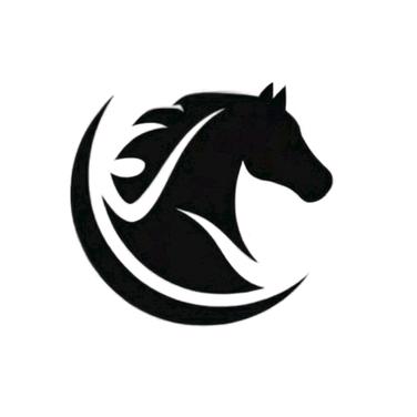 黑马王子羊老师（每晚8点直播）