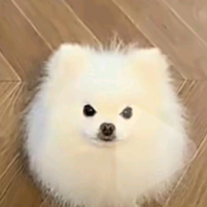 晓米不是小米