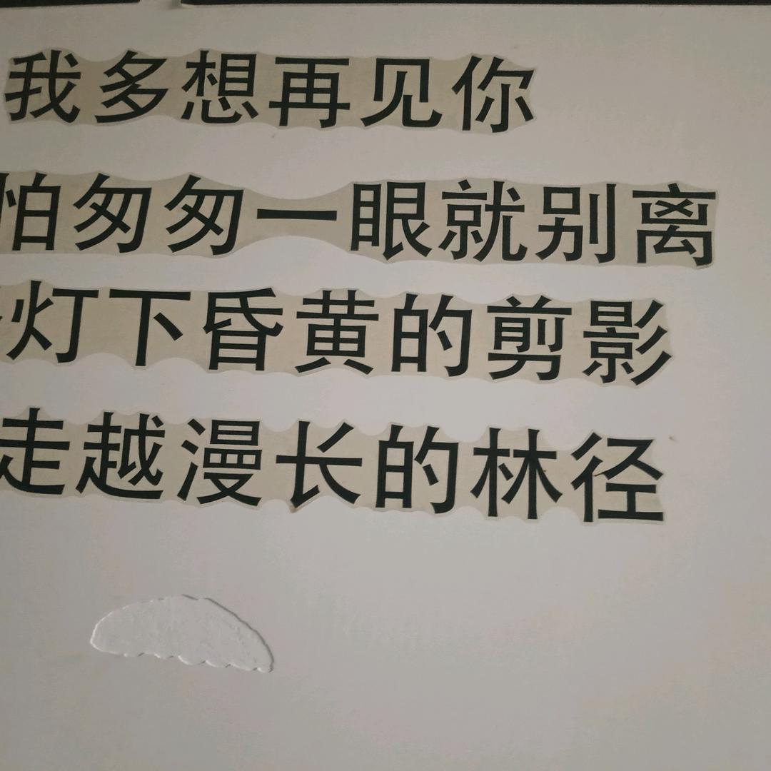 ，贵州单身小哥哥，，，，
