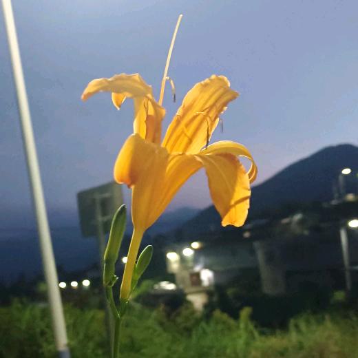 小小太阳✨