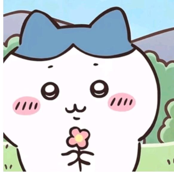 同学罗