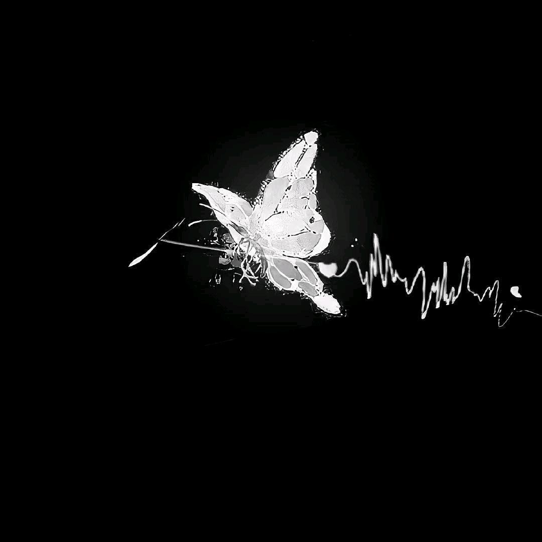 轮回
