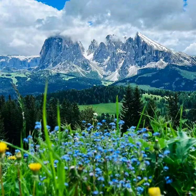 云南中考升学规划张老师