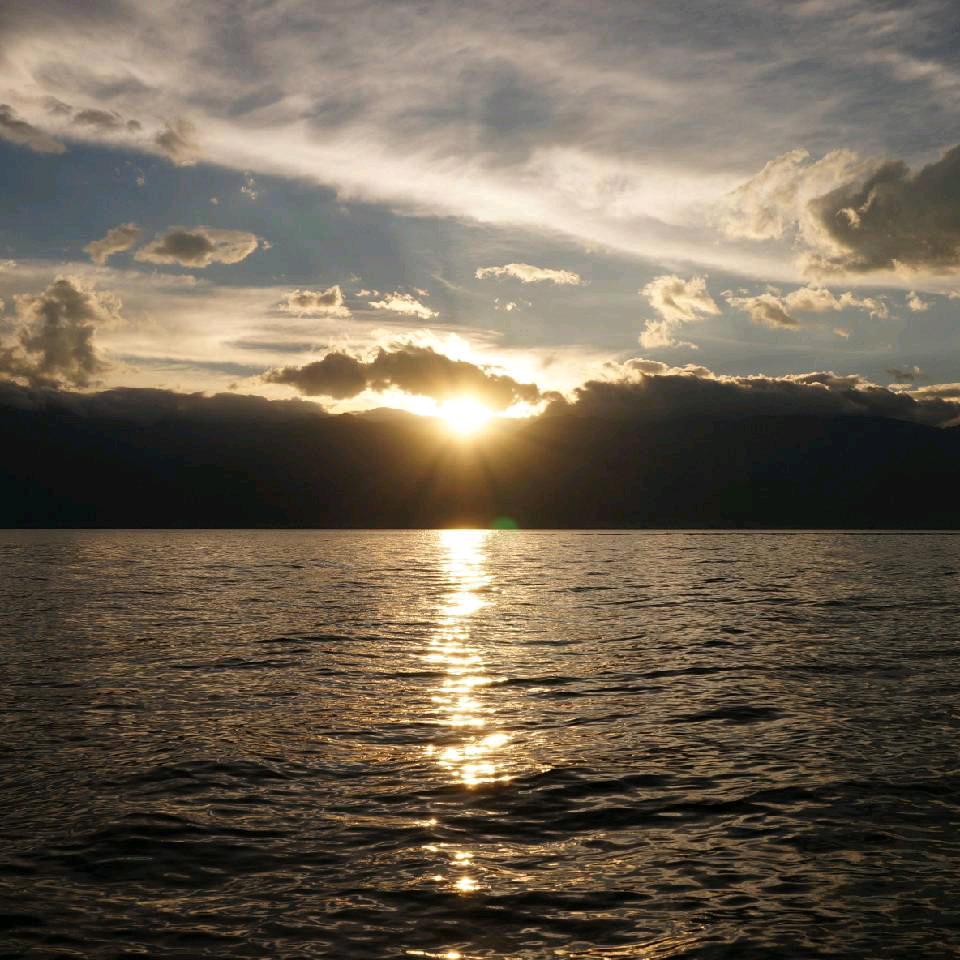 AAA