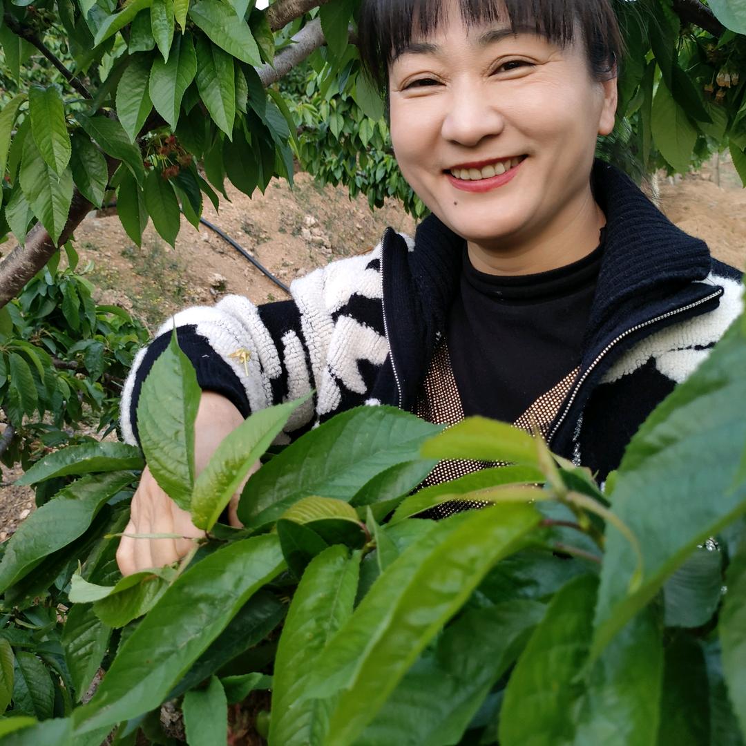 一诺-沂蒙鲜果直达