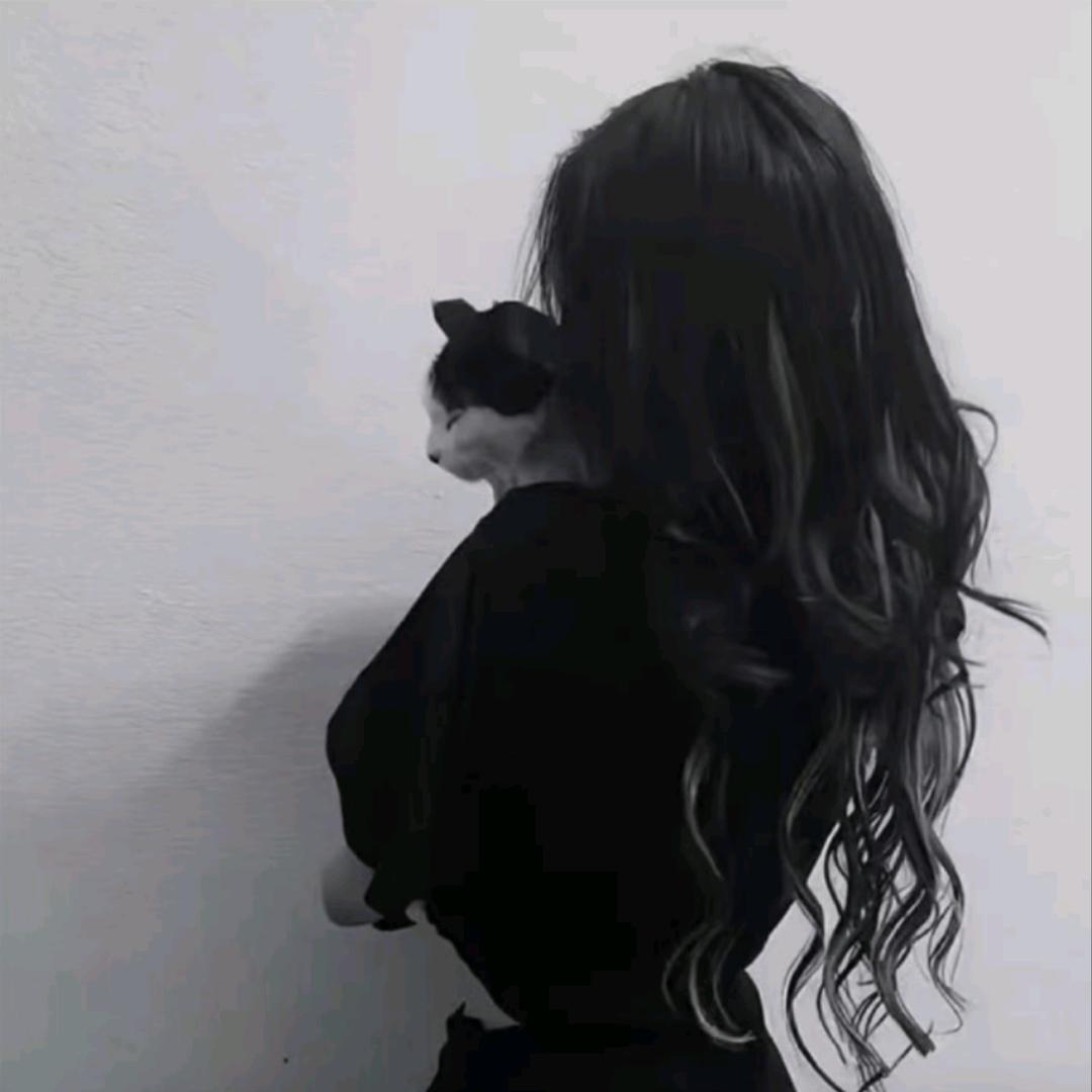 讔乄不归