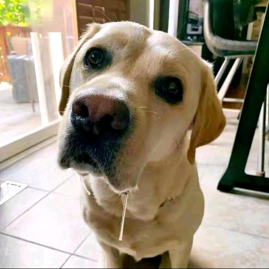 江湖人称汐二哥