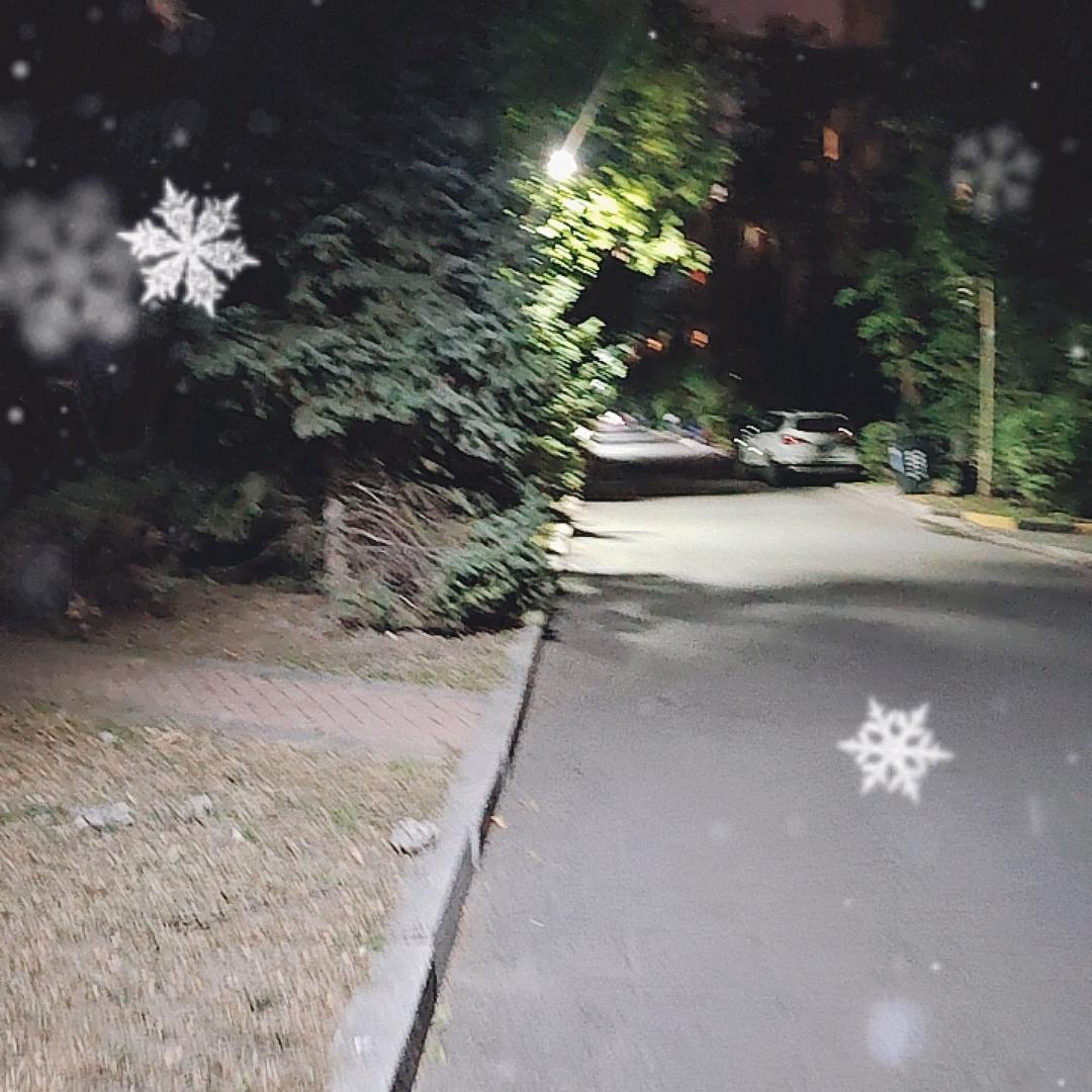 霖