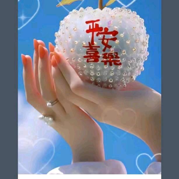 舞之艳