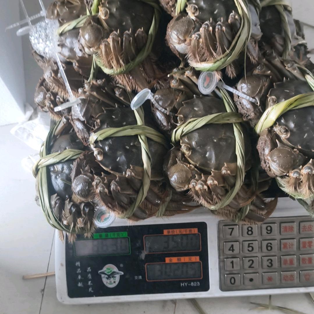 王姐水产（螃蟹批发）