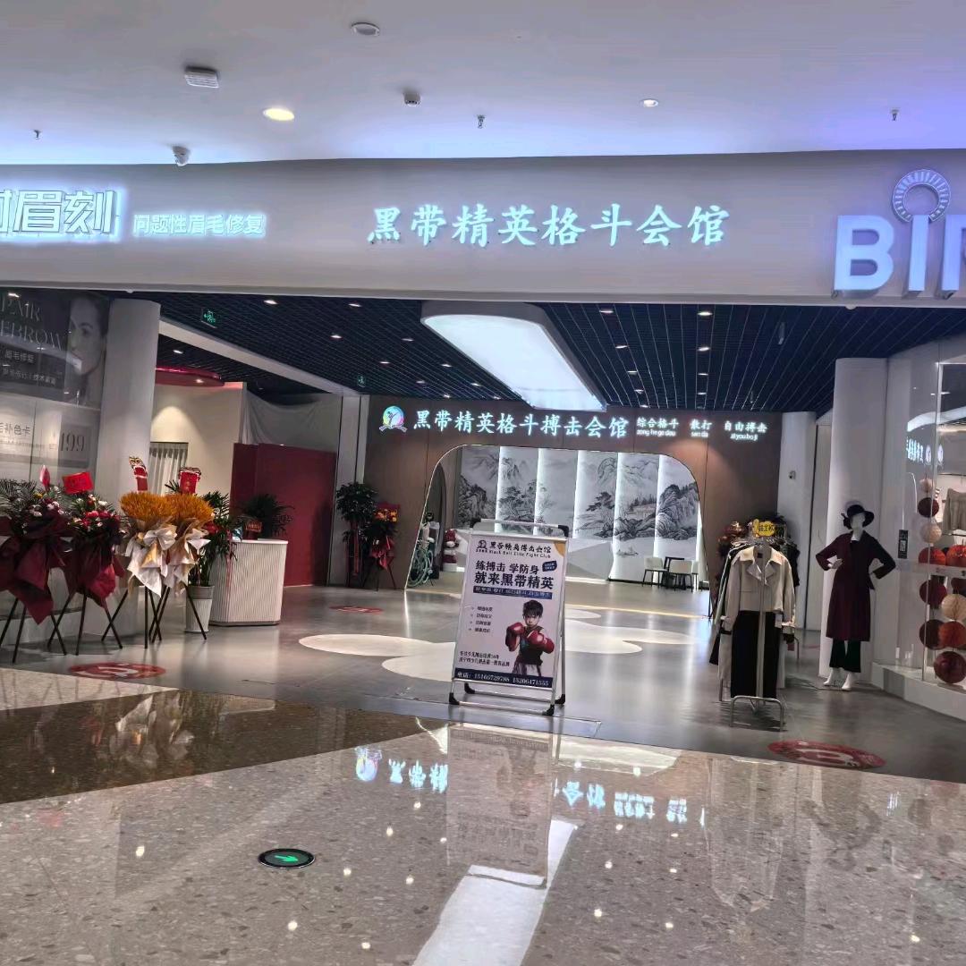 黑带精英