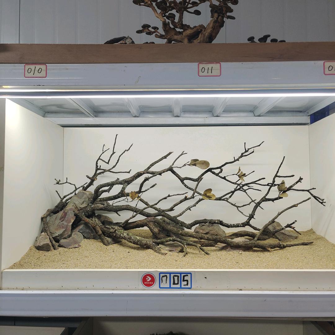 潮色造景素材大合集