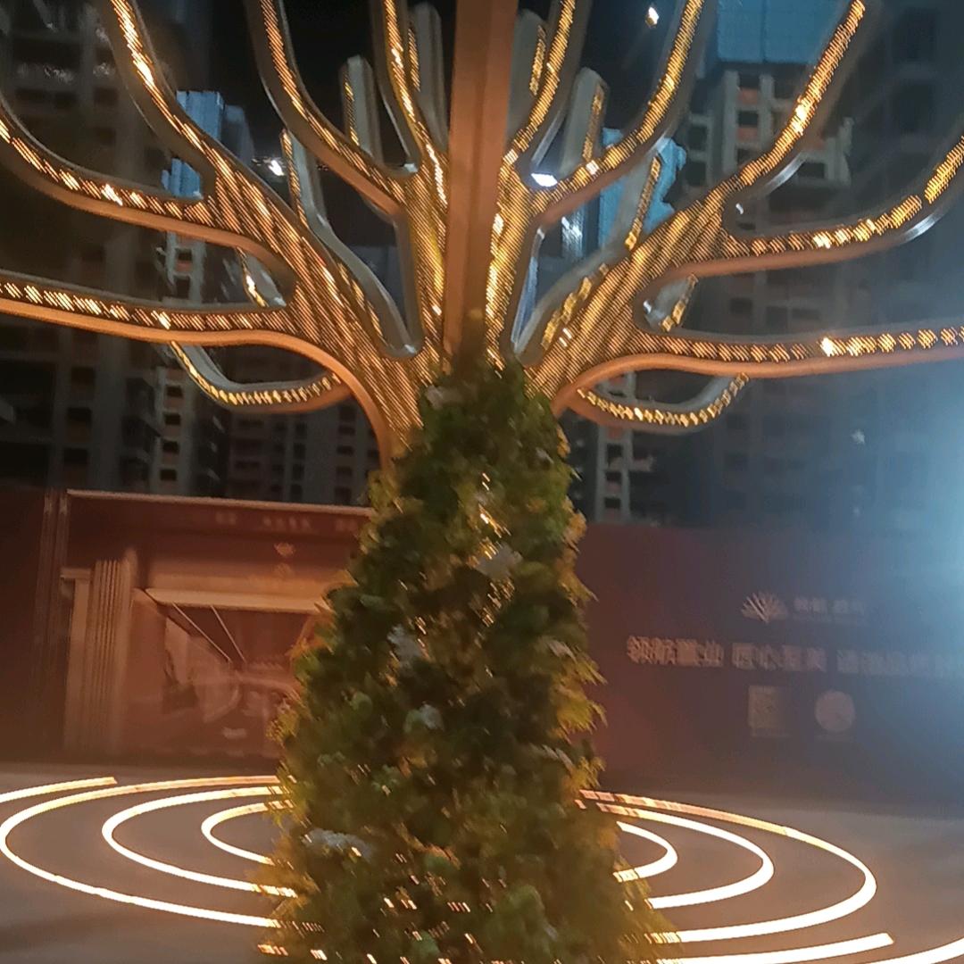 余生唯一的《婷婷》