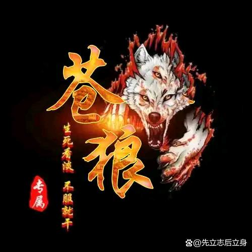 苍狼🐺