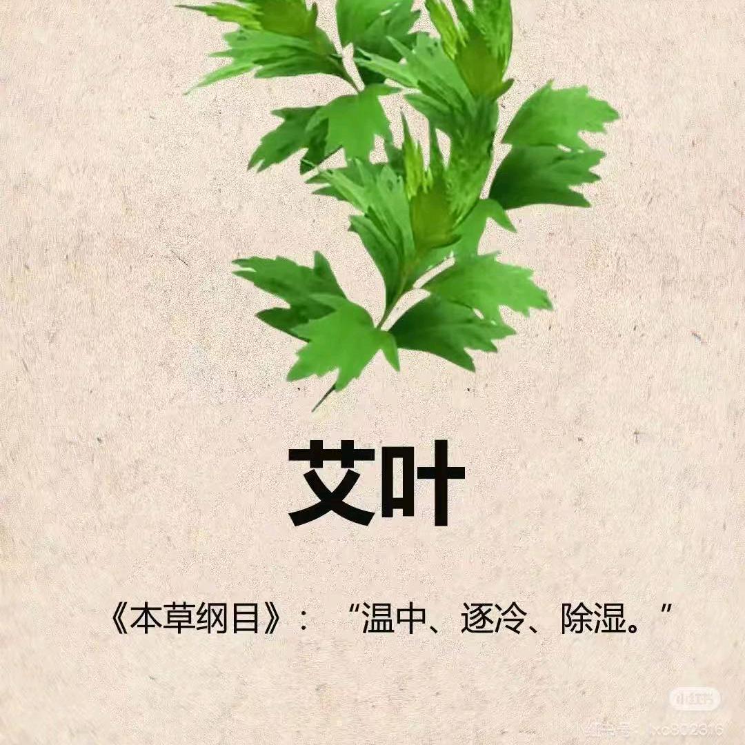 鑫华艾草