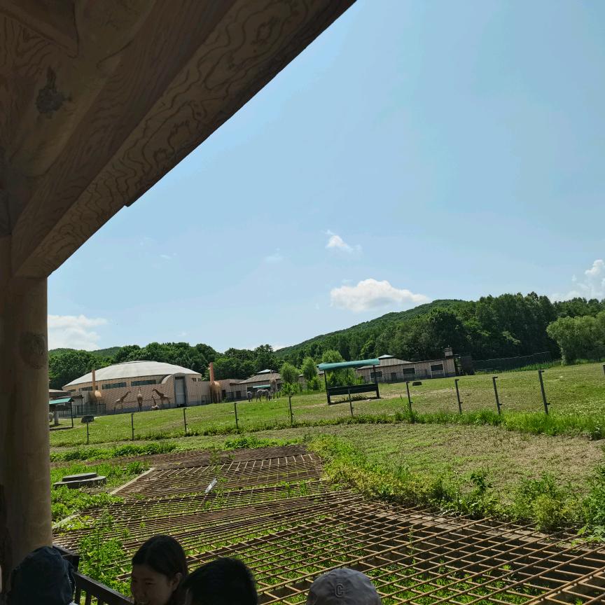 抖音游戏小虾米