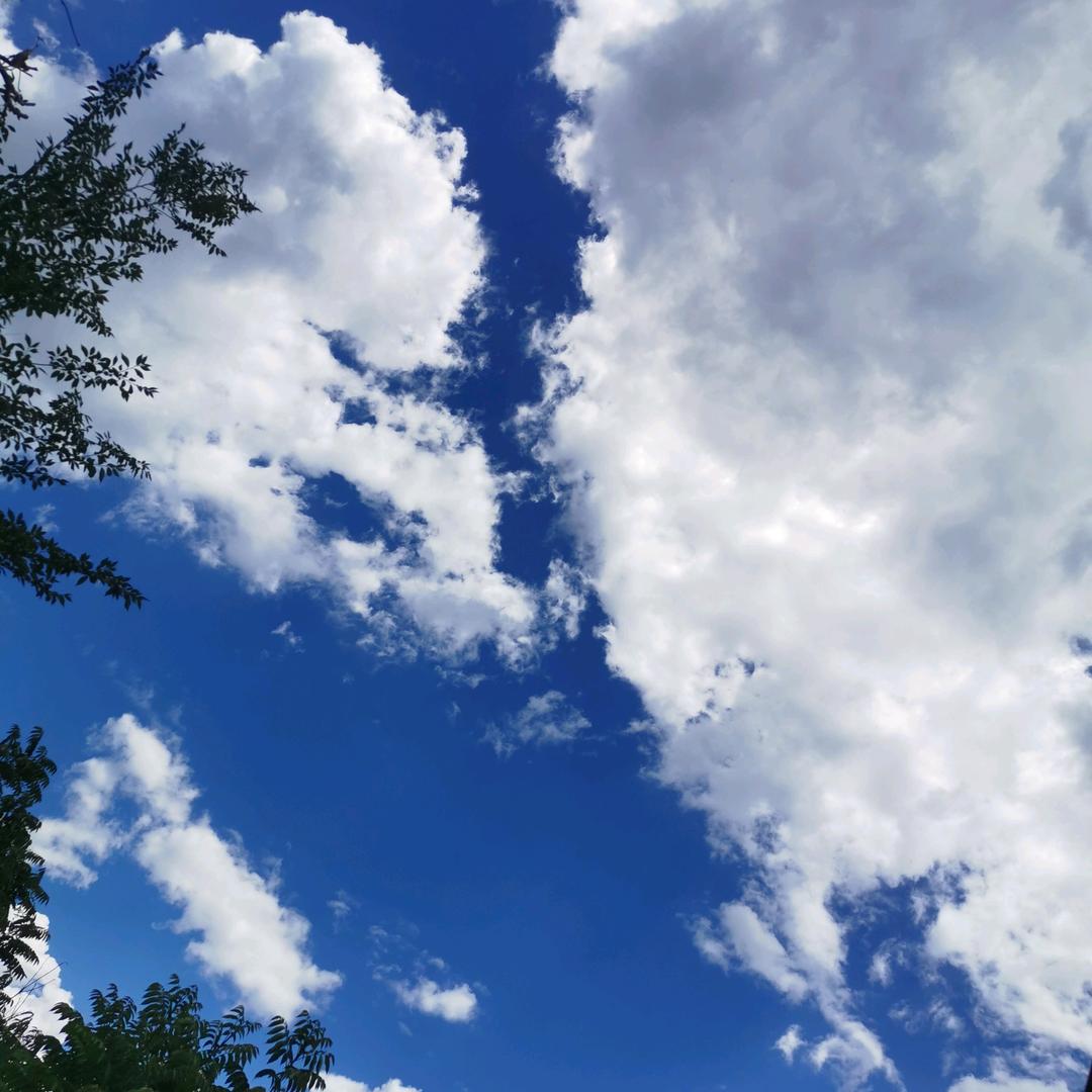 出租钢管扣件木板马永洲