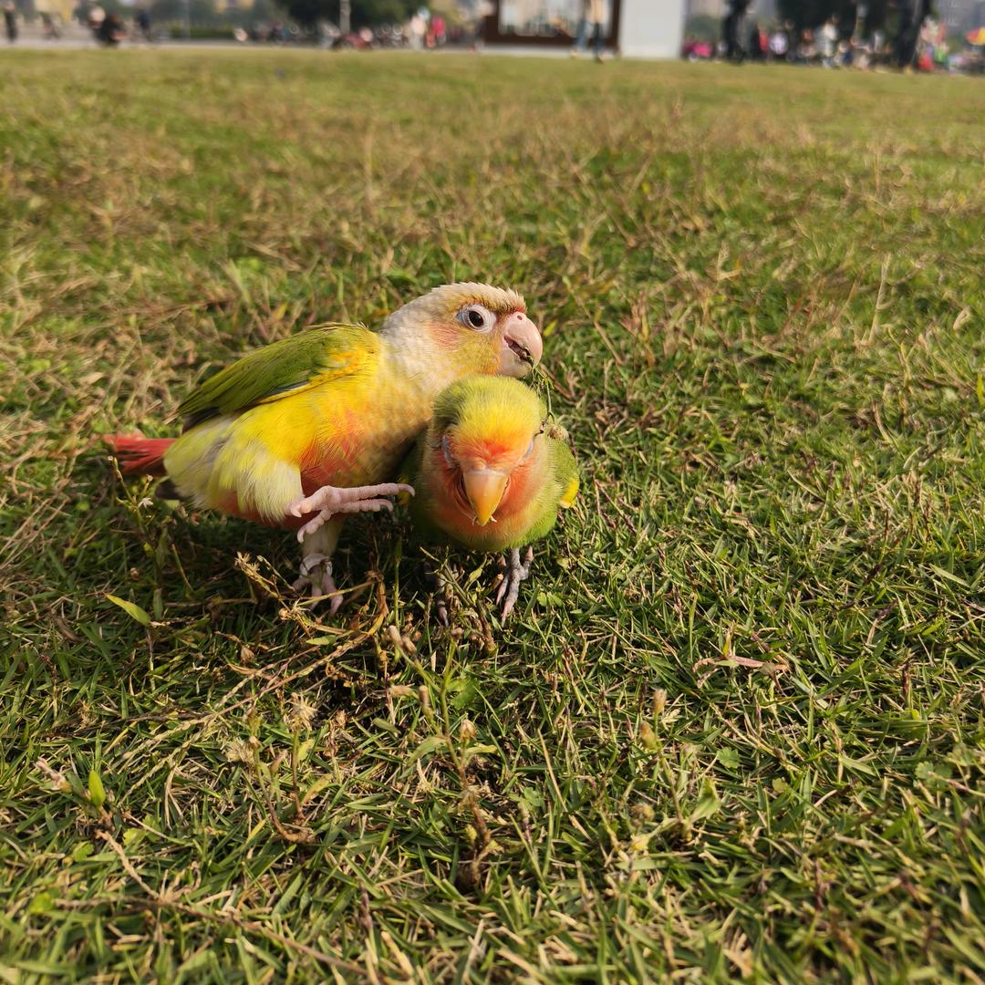 十三