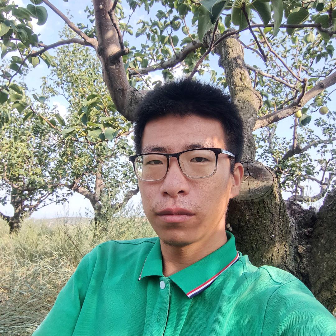 张阳散养鸡