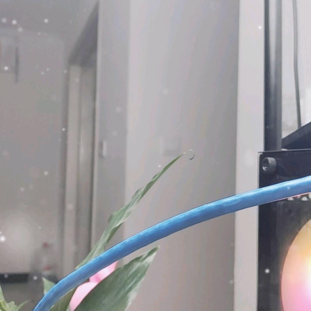 静