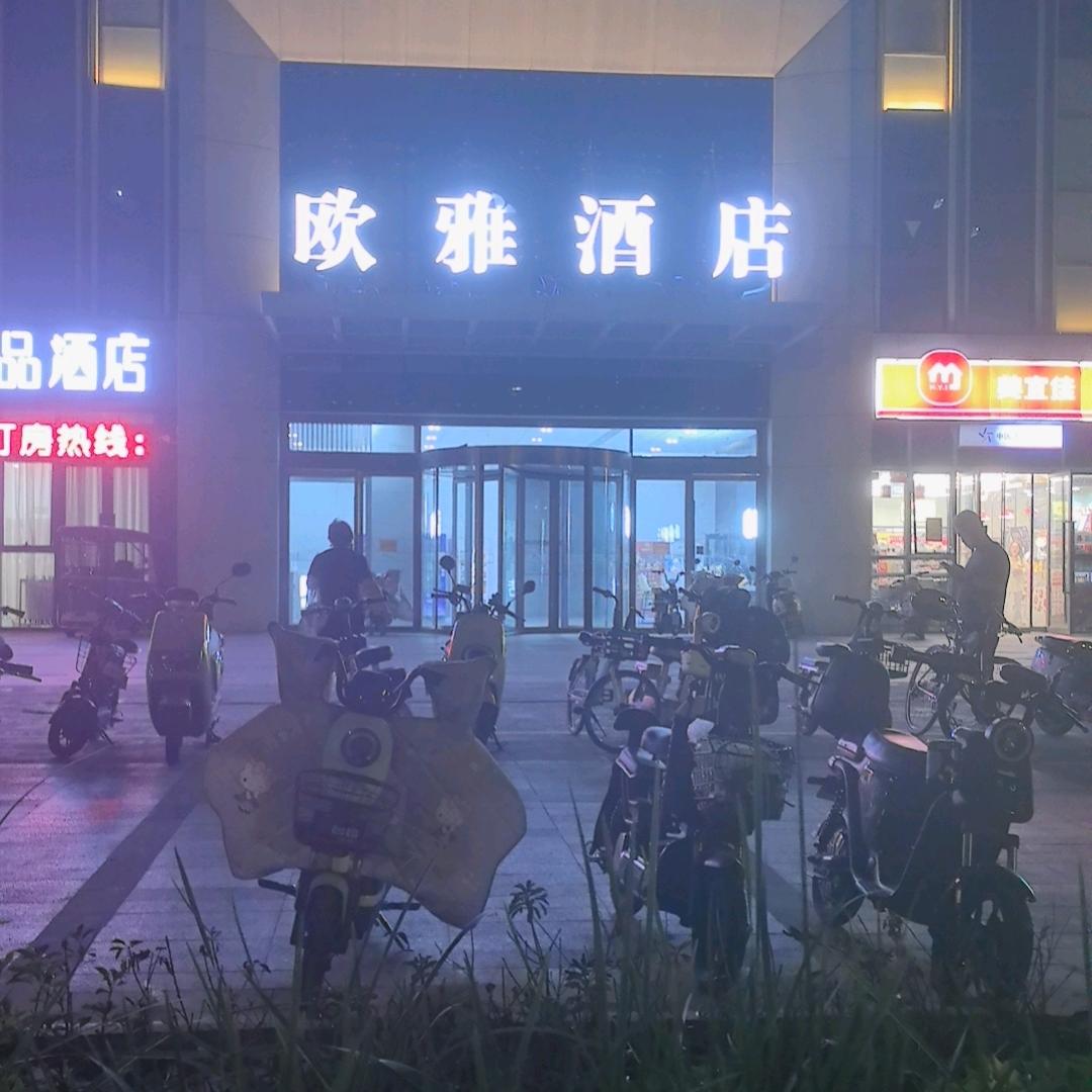 海贼王
