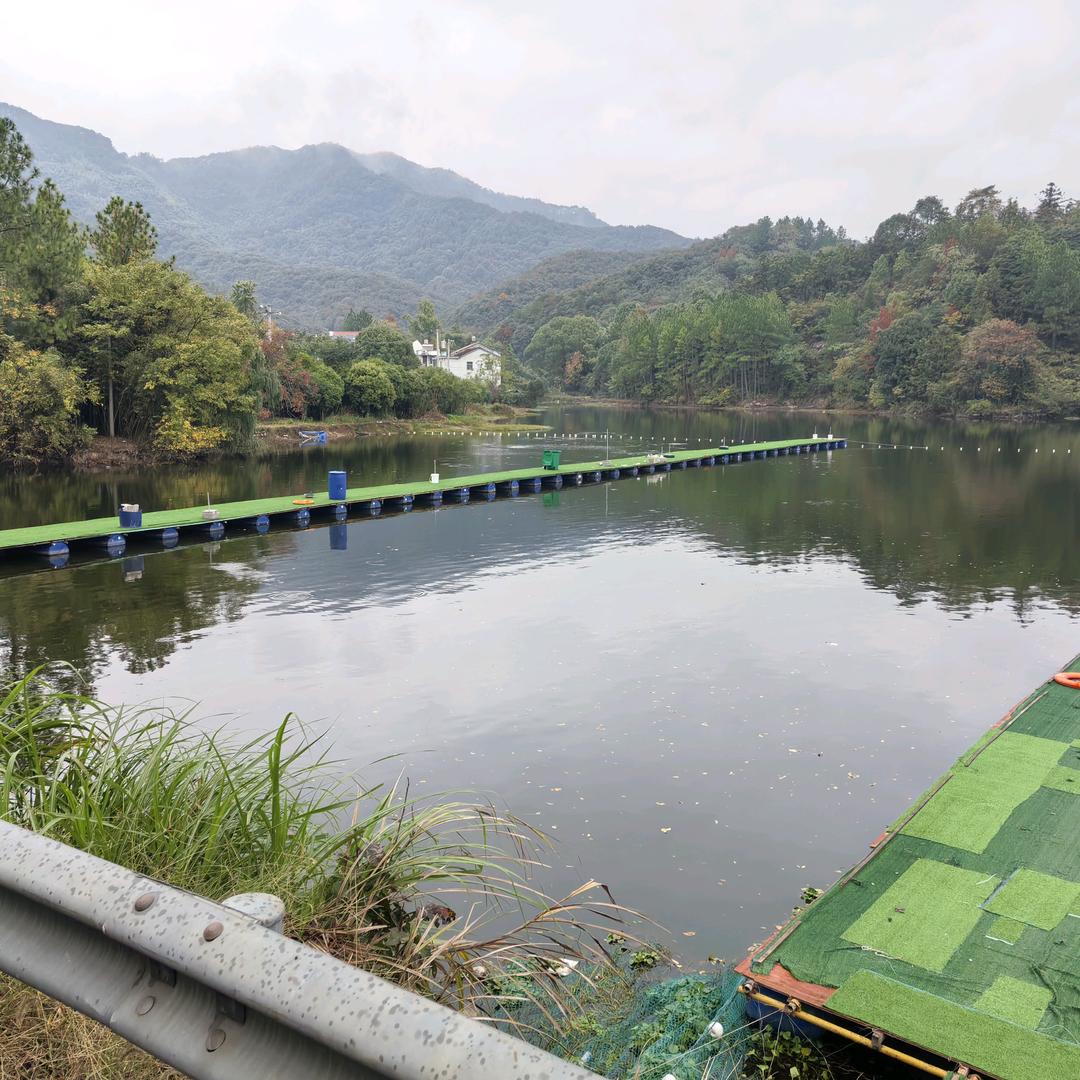 岭下水库休闲垂钓园