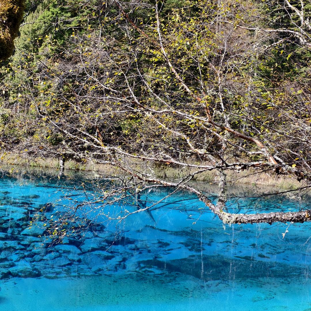 邵东本地蔬菜张姐