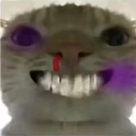 🐏神（三角洲行动）