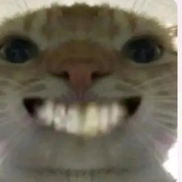 Dyzp