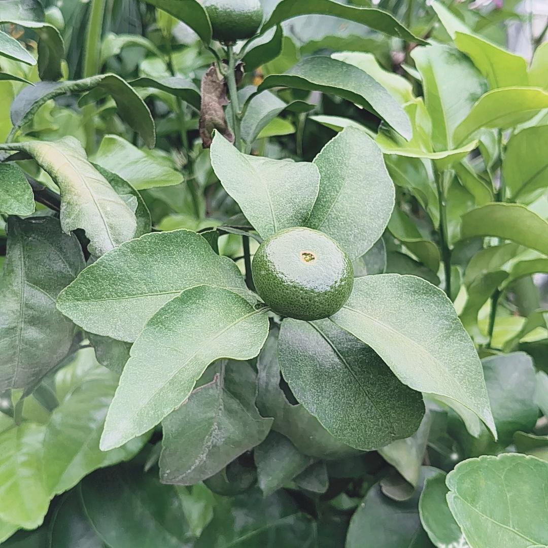 快快乐乐过一生