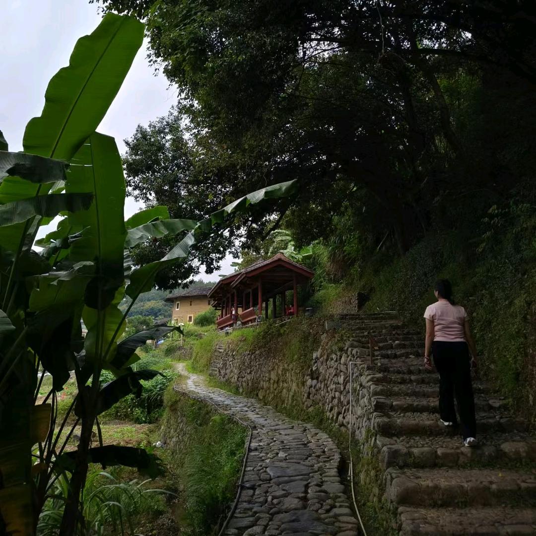 咬着棒棒糖拽天下╮