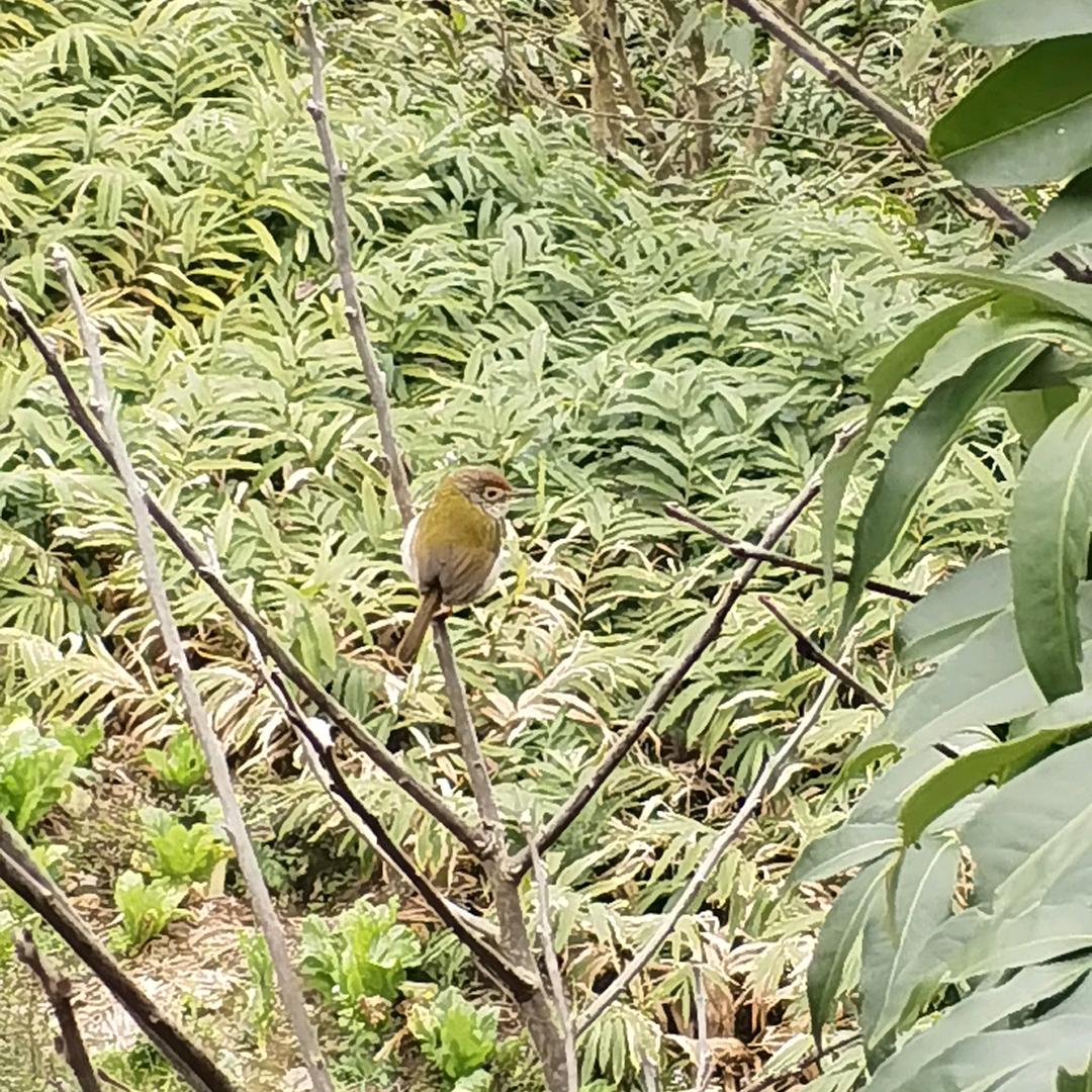 那片美丽的天空