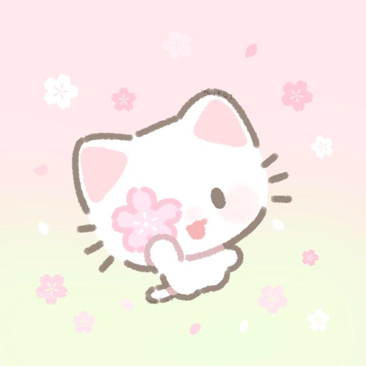 我总是馒豚豚头像