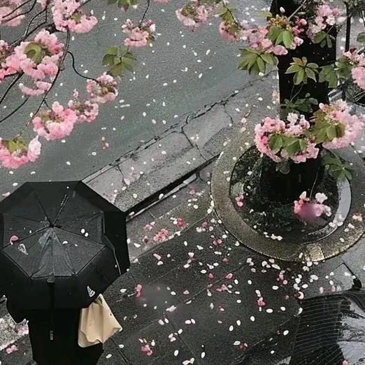 灶台风味