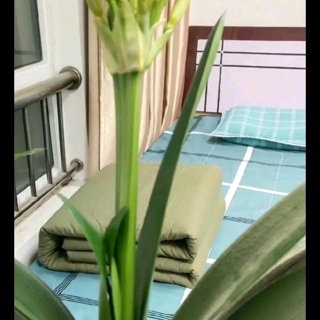 醉谈春风
