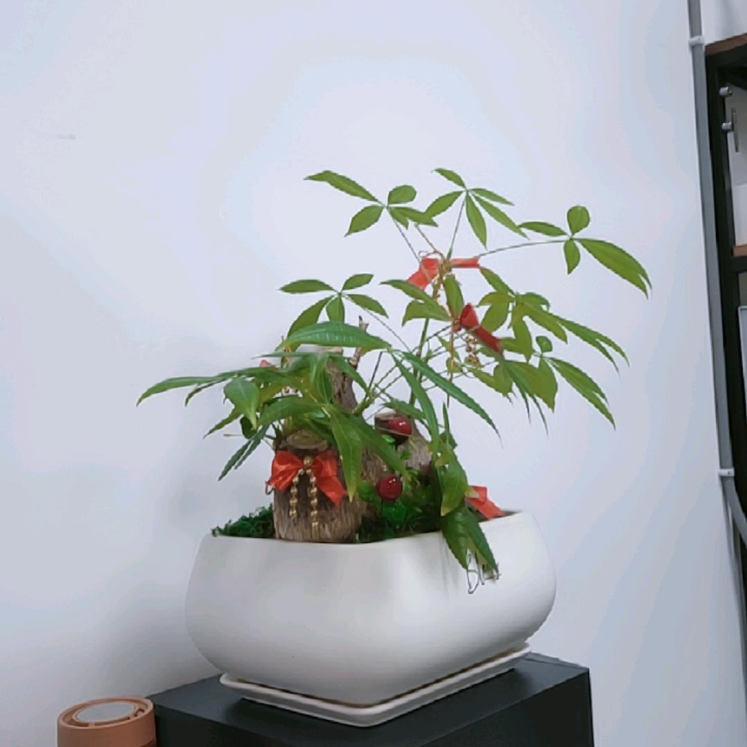包包好物推荐