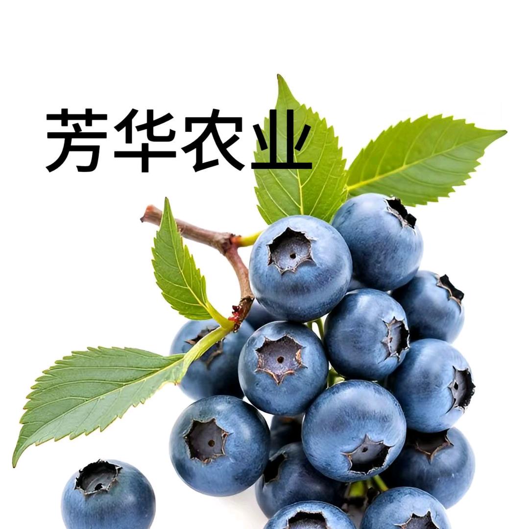 芳华农业