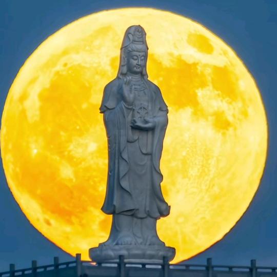 ❧人生如茶🕊꧔ꦿ᭄