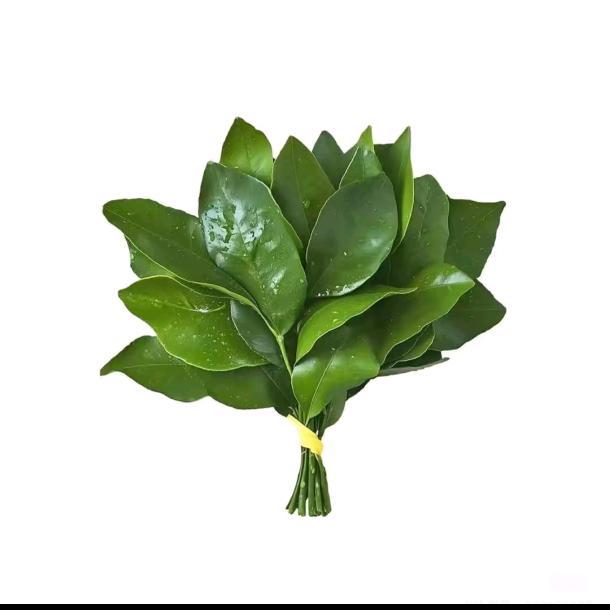 洁洁吖