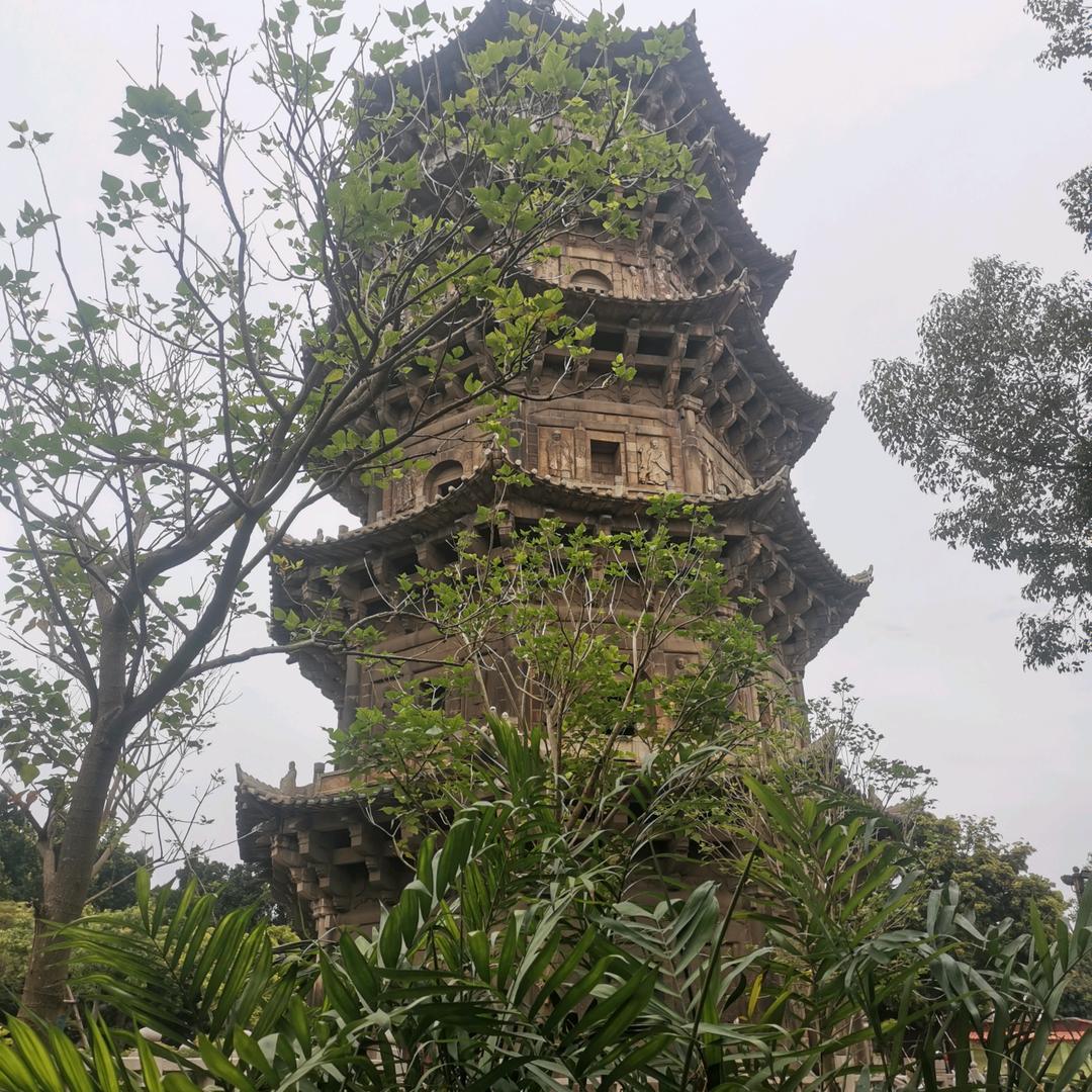 🐉在路上