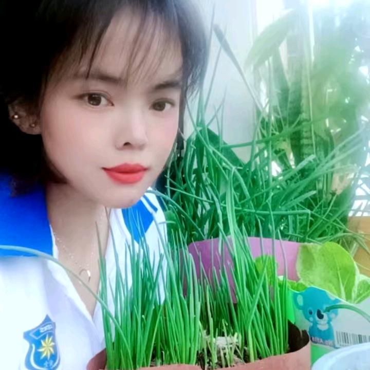 好运连连