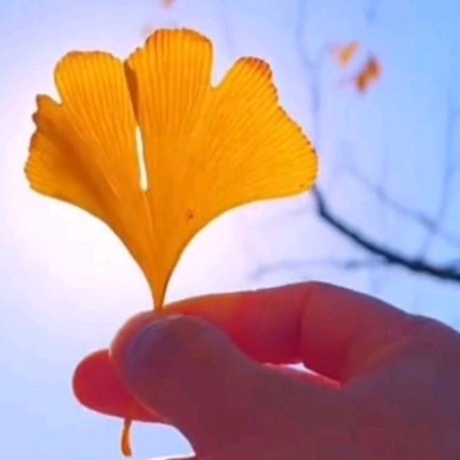 玲