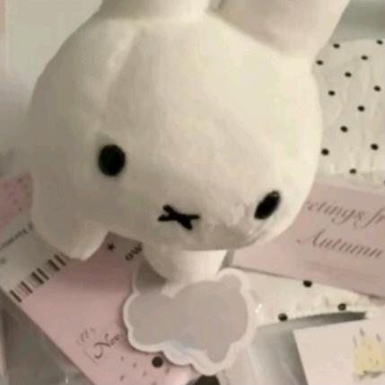 我爱喝奶绿装芒