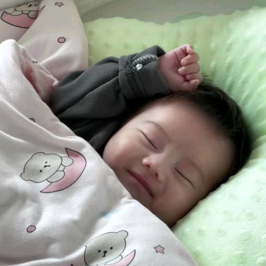 一锅鱼