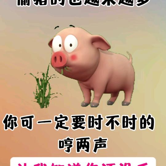 时间不凑巧